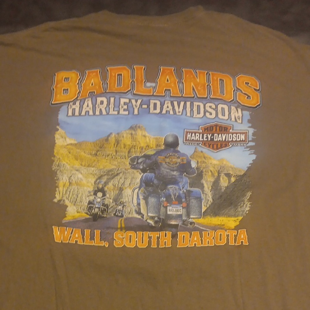 Men's Harley-Davidson Badlands Brown T-Shirt - Picture 3 of 7